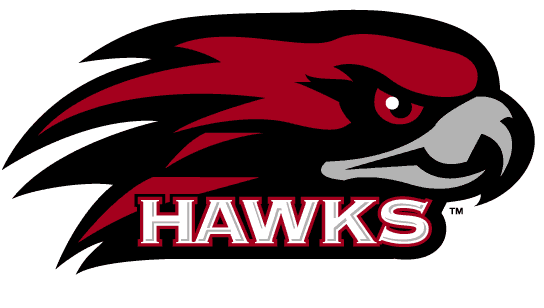St. Joseph's Hawks 2001-Pres Alternate Logo v3 iron on transfers for fabric
